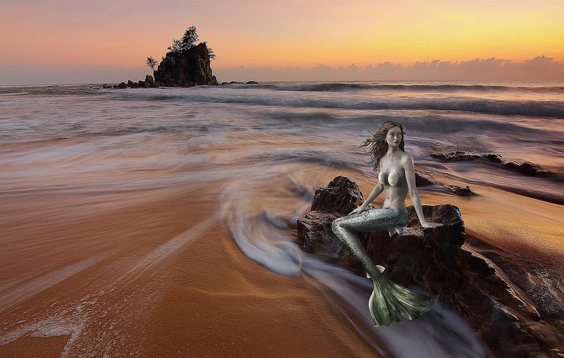 Mermaid Serenades